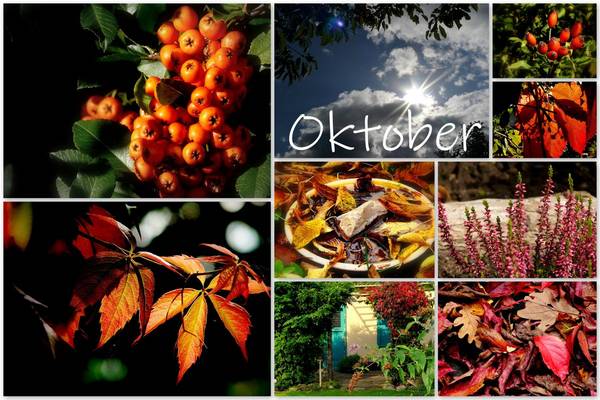 Foto: Impressionen aus unserem Kleingartenverein im Oktober