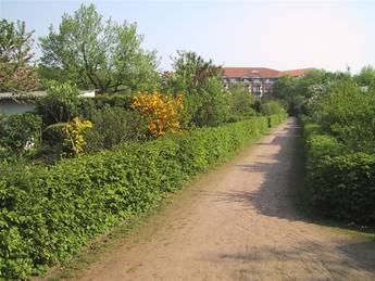 Foto: Weg im Kleingartenverein